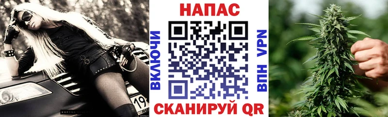 Где продают наркотики Ставрополь Бошки Шишки  АМФЕТАМИН  ГАШИШ  Меф мяу мяу  КОКАИН 