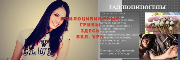 ПСИЛОЦИБИНОВЫЕ ГРИБЫ Алексин