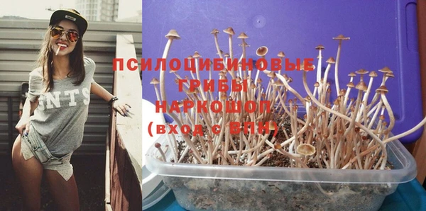 ПСИЛОЦИБИНОВЫЕ ГРИБЫ Алексин