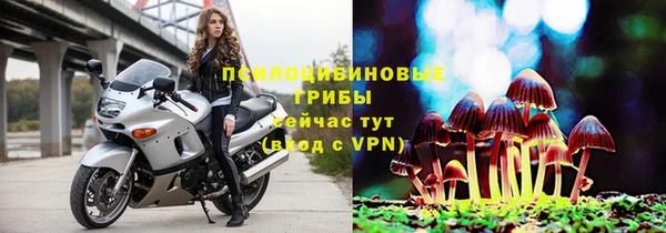 стафф Алзамай